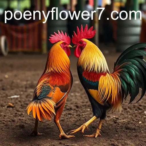 Exploring the World of Sabong Games: Understanding Their Impact and Evolution